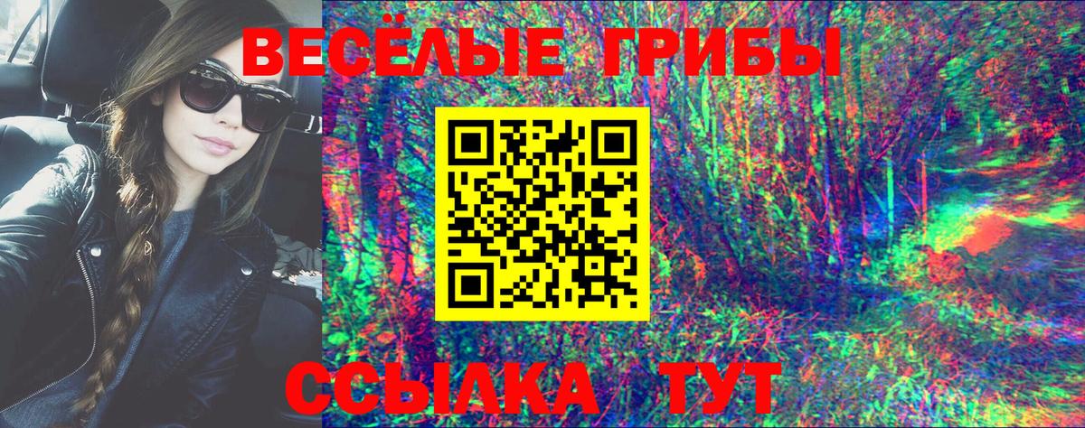 Псилоцибиновые грибы ЛСД Каменск-Шахтинский
