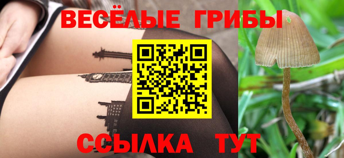 Каменск-Шахтинский  Галлюциногенные грибы GOLDEN TEACHER  Вход с VPN 
